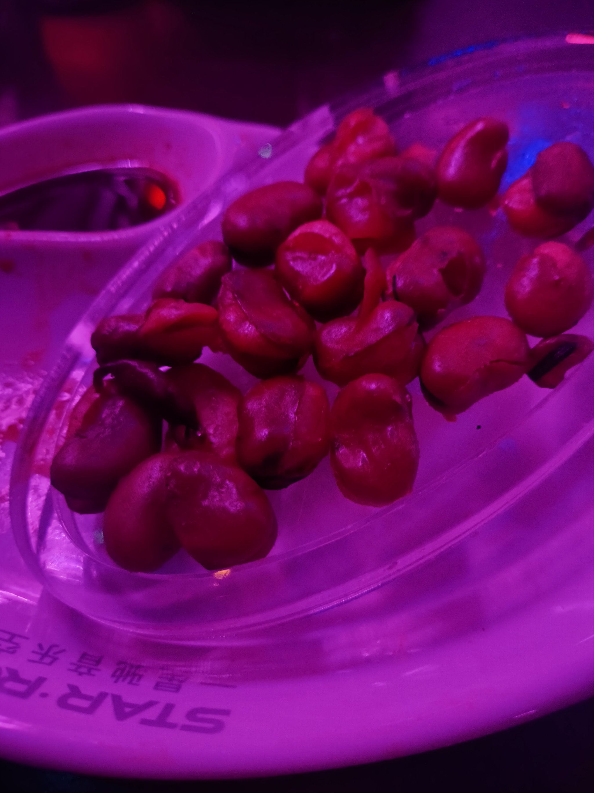 榆林商务ktv服务优质-神木县ktv预定